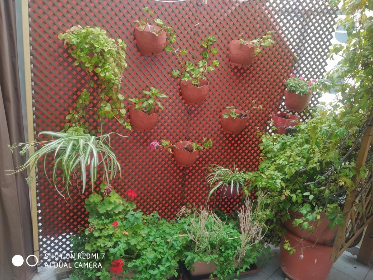 Habitacion Familiar En Un Atico Con Gran Terraza Y,Cocina ,En La Playa Burriana Extérieur photo